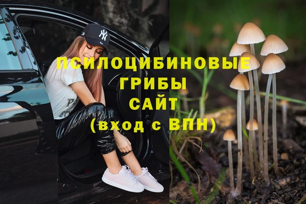 2c-b Алексеевка