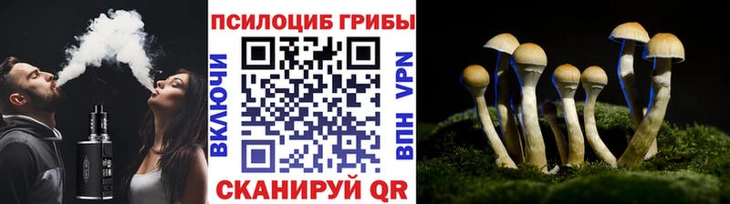 продажа наркотиков  Шелехов  Псилоцибиновые грибы MAGIC MUSHROOMS 